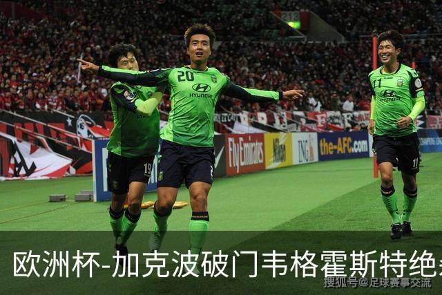 欧洲杯-加克波破门韦格霍斯特绝杀 荷兰2-1波兰